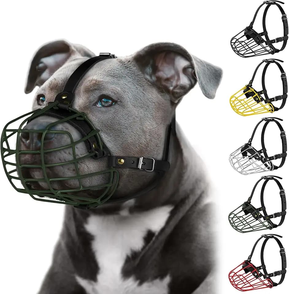 Pitbull Dog Muzzle Metal Mask Amstaff Secure Wire Basket Adjustable Durable Leather Straps for Large Dogs (Green)