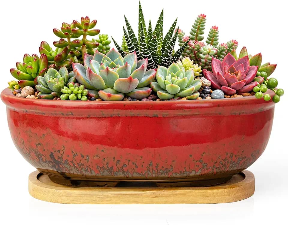 ARTKETTY Succulent Pots - Large Succulent Planters with Drainage Tray