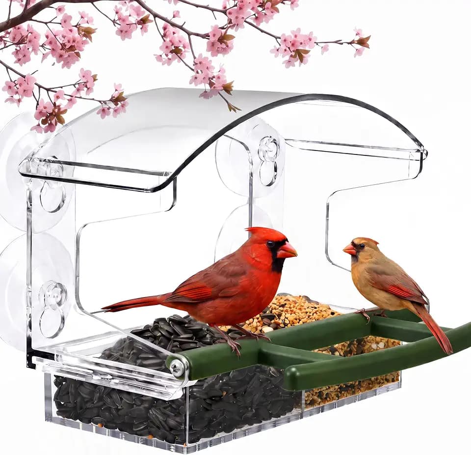 Kingsyard Window Bird Feeder with 4 Extra Strong Suction Cups