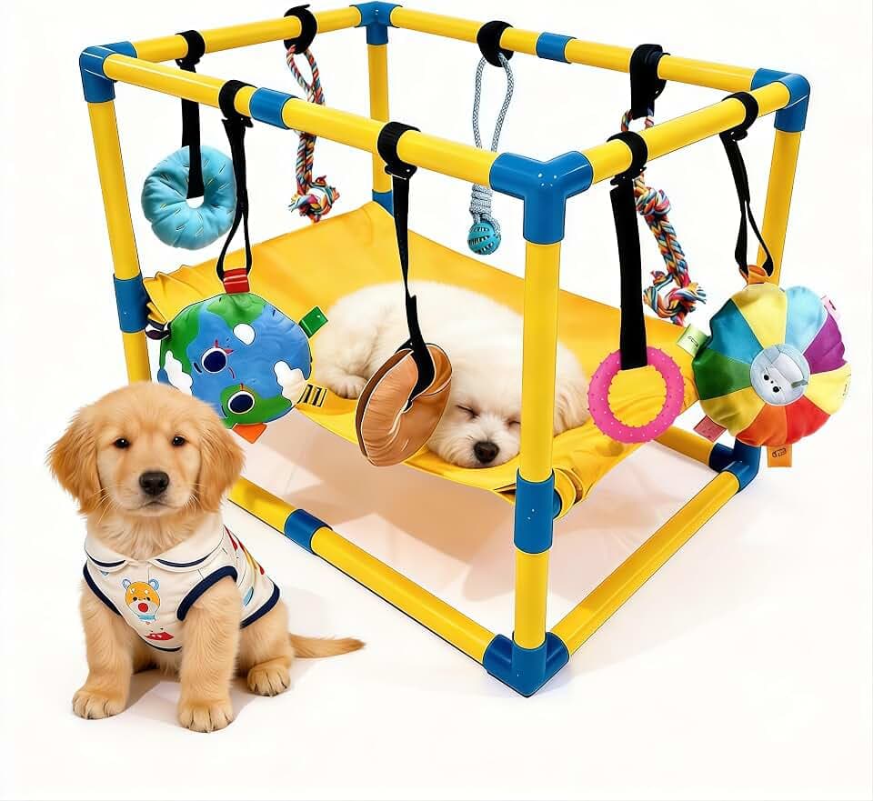 Hundespielzimmer, 60 x 40 x 40 cm Welpenspielstudio mit Hängematte und Hängenden Spielzeugen Welpenspiel-Fitnessstudio mit Intelligenzspielzeug für Hunde zu Förderung von Bewegung Geistiger Auslastung