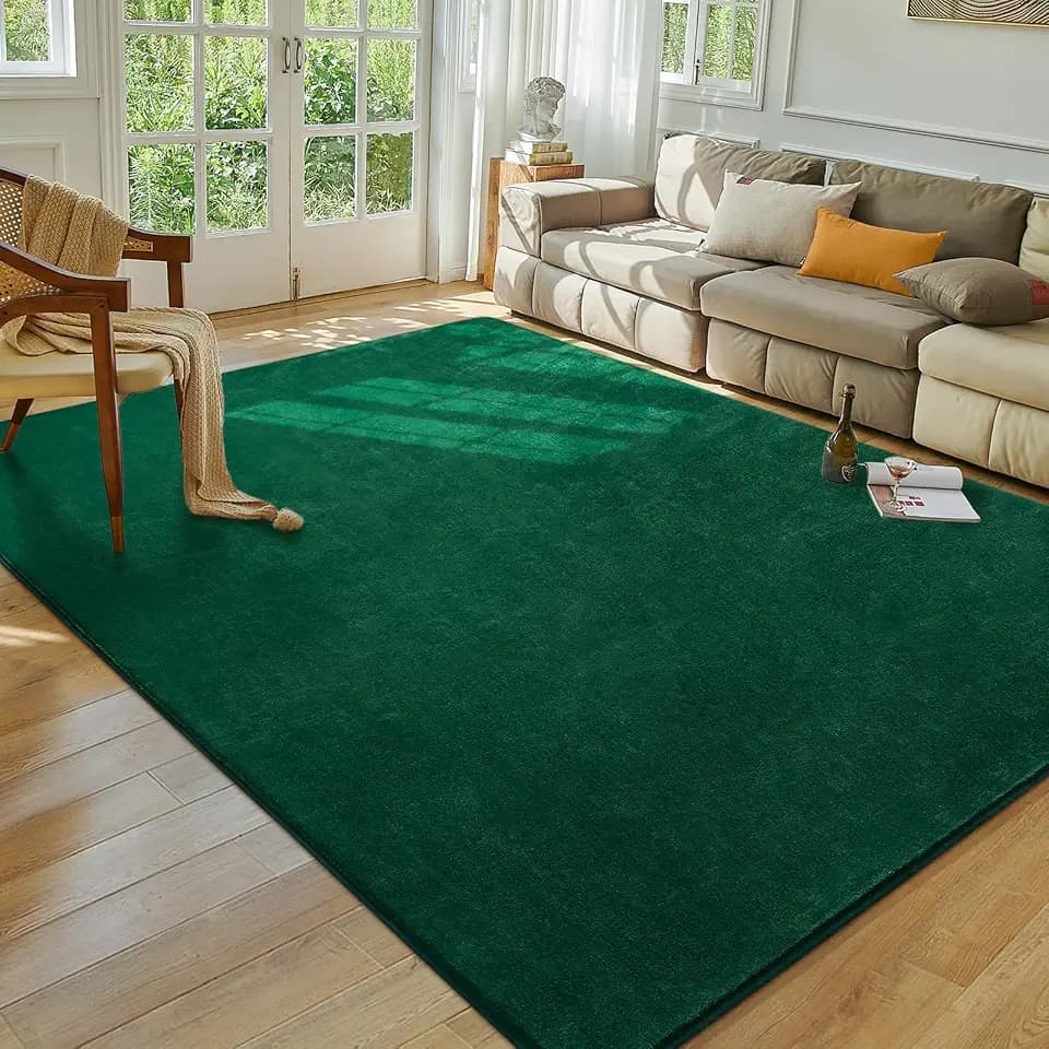 Softlife 5x7 Green Living Room Rug, Washable Area Rugs for Bedroom, Soft Fluffy Fuzzy Carpet Bedside Rug Indoor Non-Slip Rugs for Kids Home Decor Aesthetic Dorm Nursery