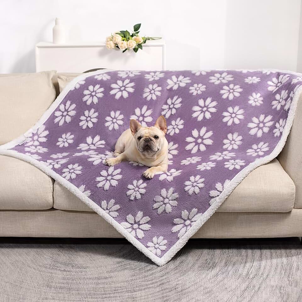 Cute Waterproof Blanket for Dog Cat or Adult, 50"x60", Purple