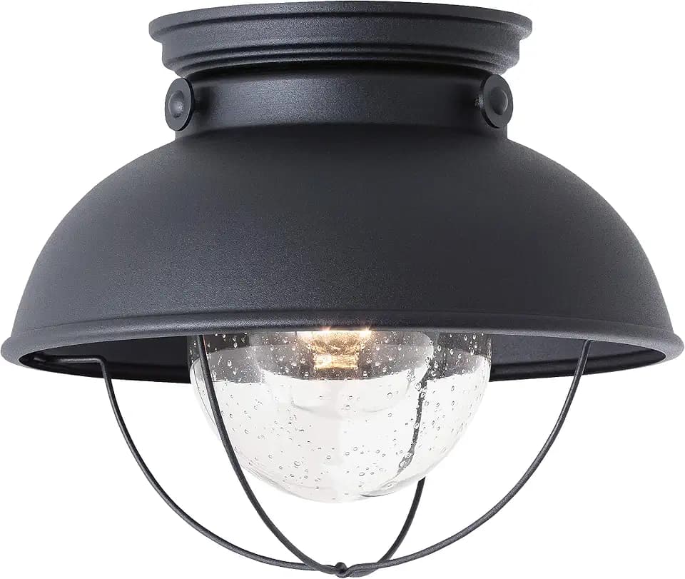 Generation Lighting 8869-12 Sebring Transitional One - Light Outdoor Ceiling Flush Mount Outside Fixture, Black Finish, 1-Light, cETL Listed, Safety Rated for Wet Locations