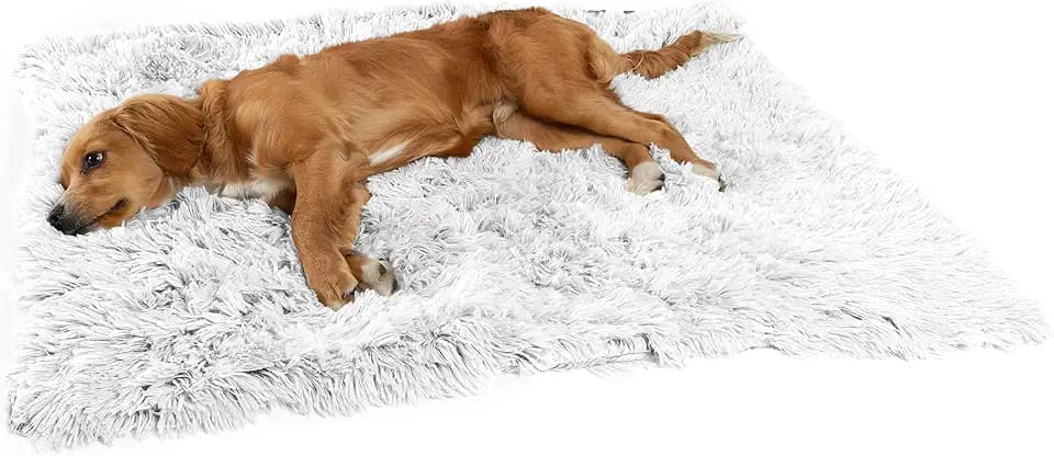 Best Friends by Sheri Dog Blanket, Shag Faux Fur, Frost Gray, 30" x 40"