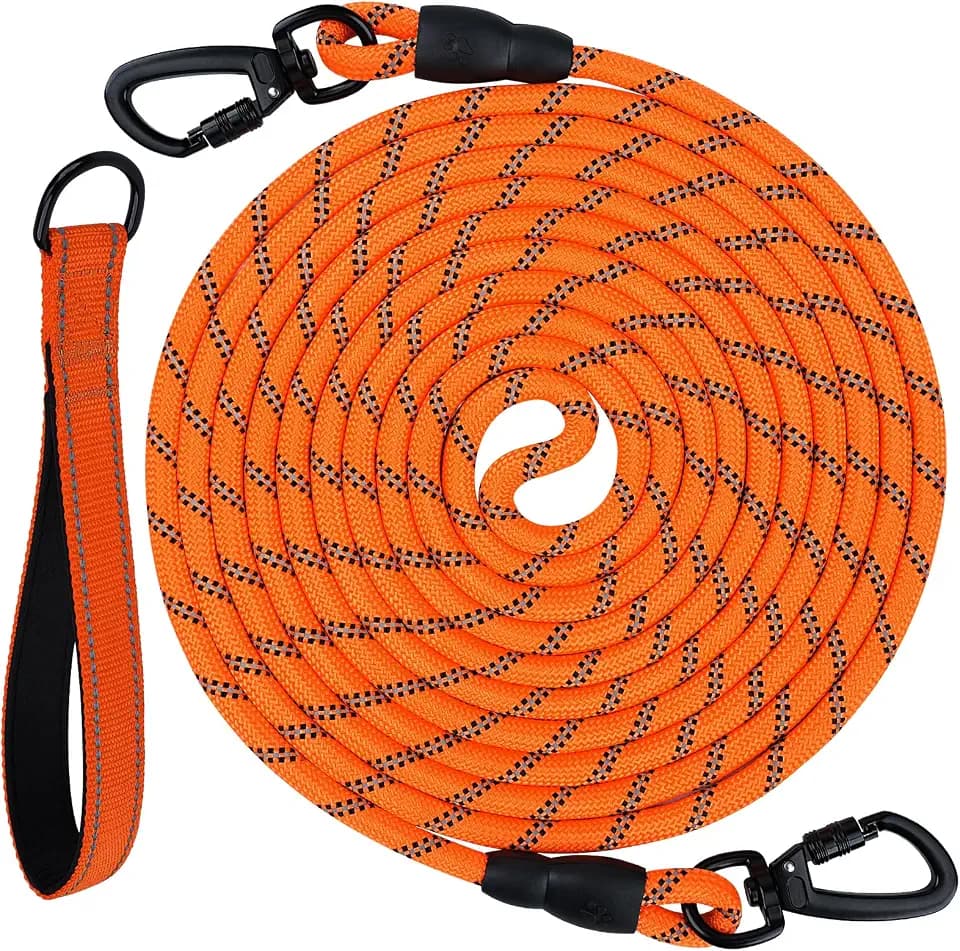 Joytale Long Dog Leash for Yard Tie Out & Recall Training, Orange, 30FT