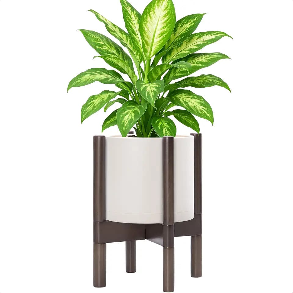 D'vine Dev Plastic Pot with Walnut Wood Stand, Oatmeal, 8 in, 55-C-I-4