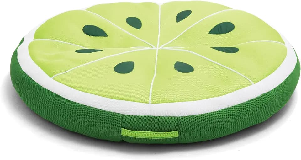 Big Joe Fruit Pool Floats, No Inflation Needed, Quick Draining Fabric, Round Loungers and Pool Noodles