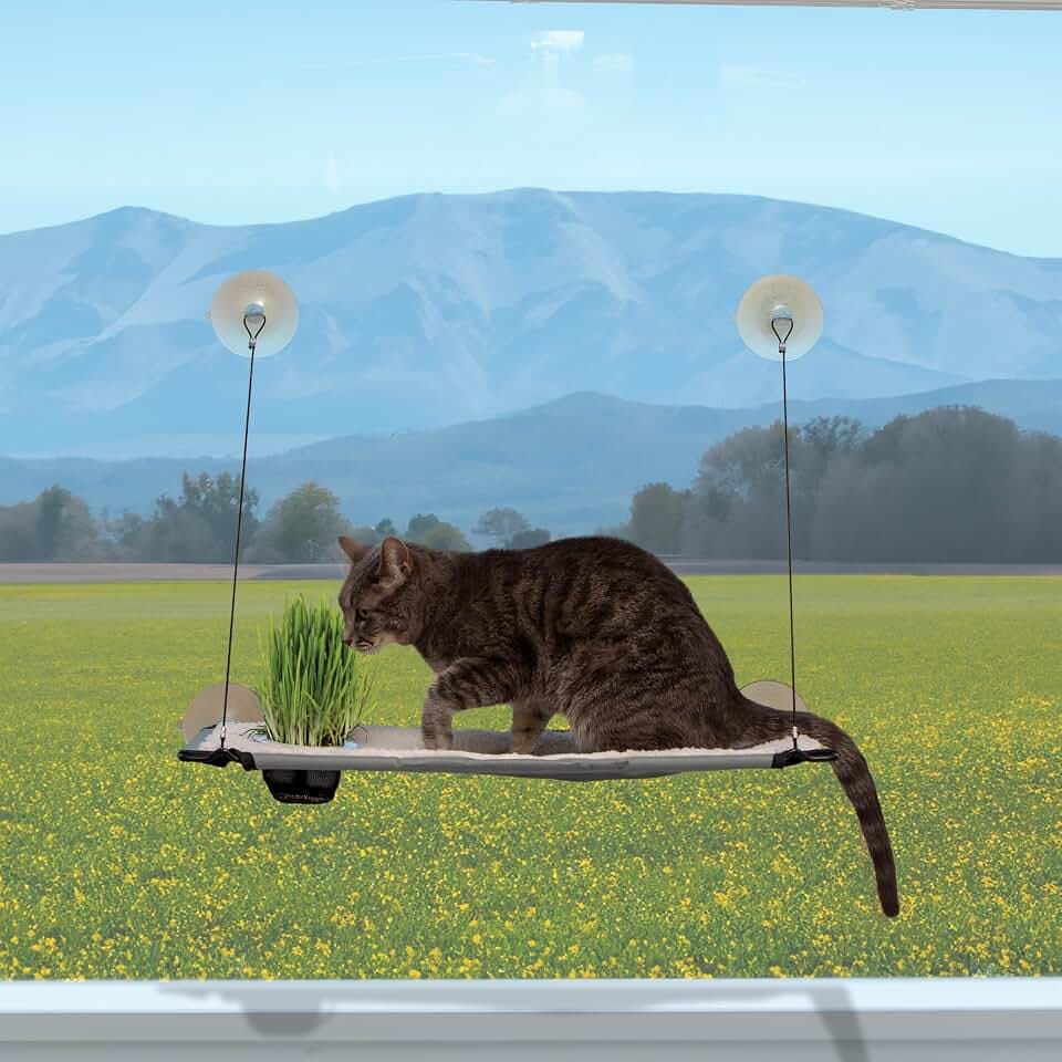 K&H Cat Window Perch, Window Lounger with Oat Grass Grow Station - 23x12in
