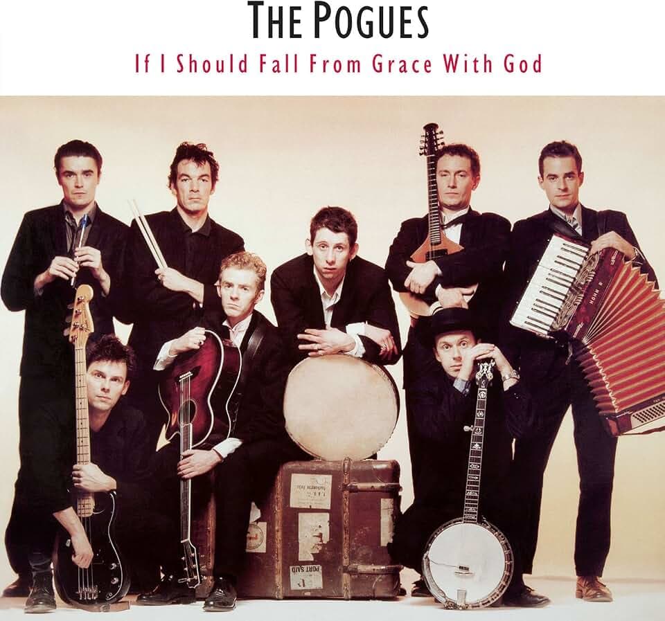 If I Should Fall from Grace Wi [Vinyl LP]