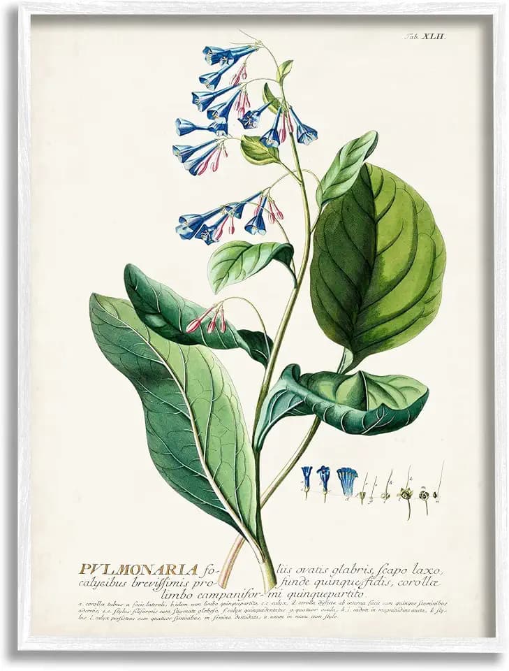 Botanical Blue Flowers Vintage Design, 24 x 30 Inch Framed Giclée Print