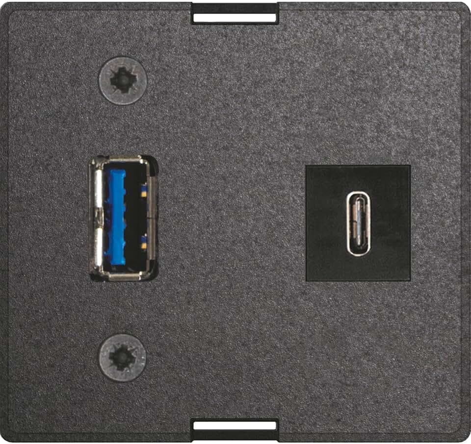 EVOline Wechselmodul USB C & A + Netzteil passend zu Einbausteckdosen, schwarz