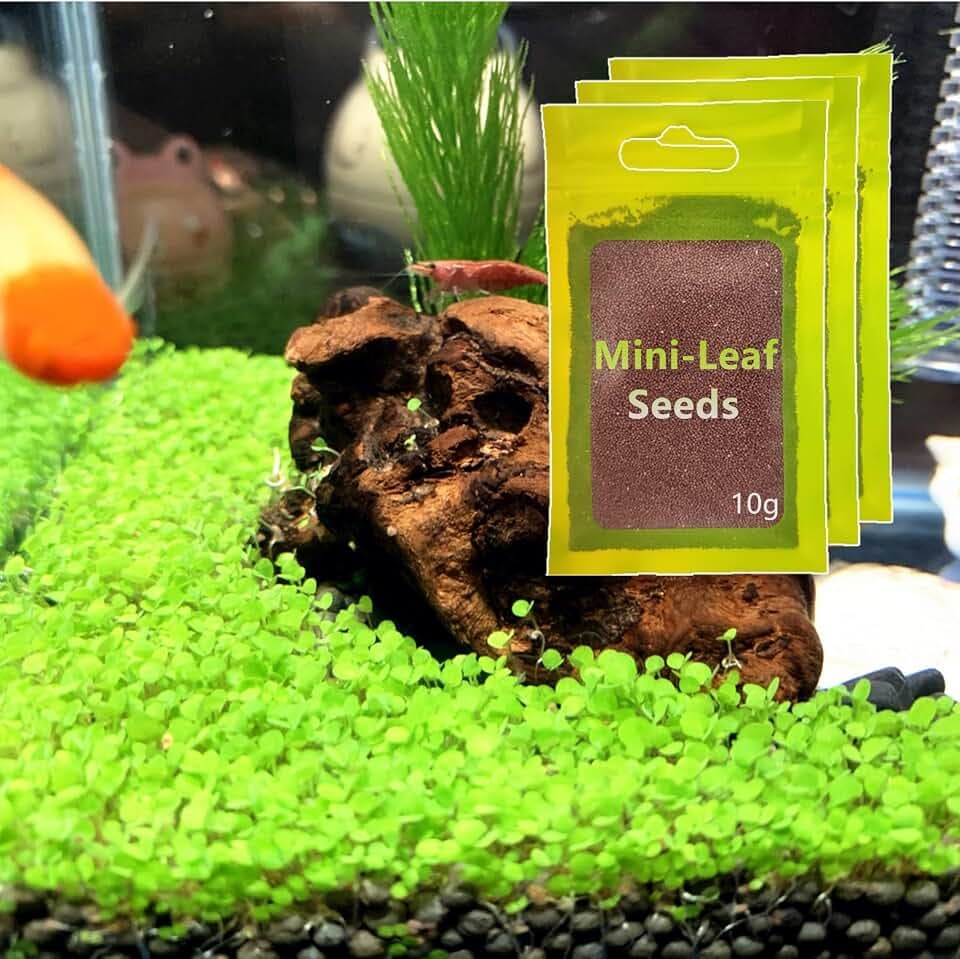 3 Pack Aquarium Plant s-e-e-d. Mini-Leaf 30gram. not Plastic Carpet Decor Decoration not Artificial YZ-AAA04