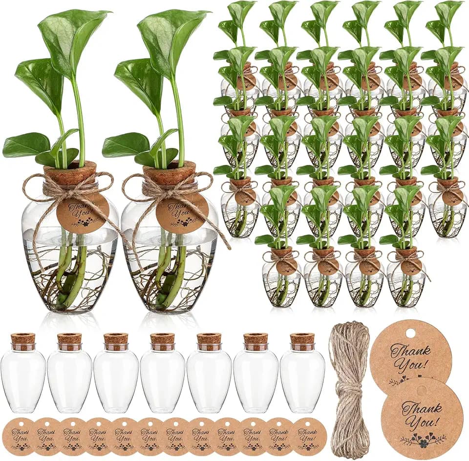 Baderke 24 Pack Big 10oz Plastic Plant Propagation Stations with Hole Lid Planter Vase Clear Propagation Jars with Thank You Tags for Plant Lover Gifts for Women Office Home Garden