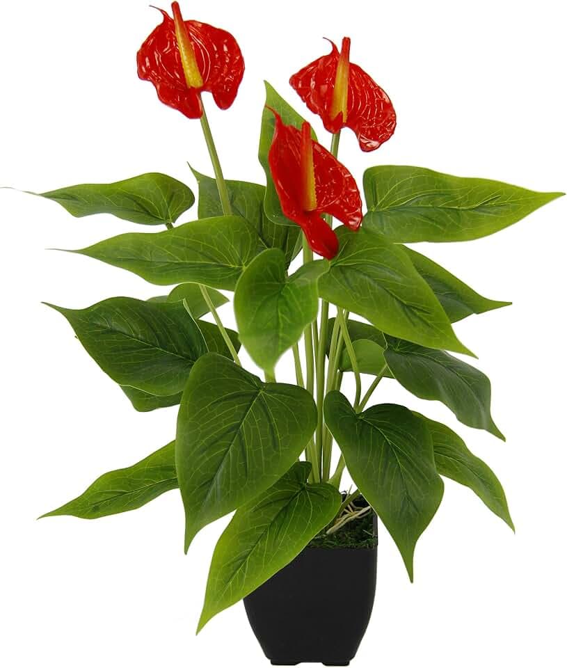 Künstliche Anthurium Pflanze im Topf Anthurie exotische Flamingoblume Flamingo Blume exotische Pflanze mit roten Blüten Flamingopflanze Kunstpflanze Dekopflanze Kunstblume Deko Zimmerpflanze Calla