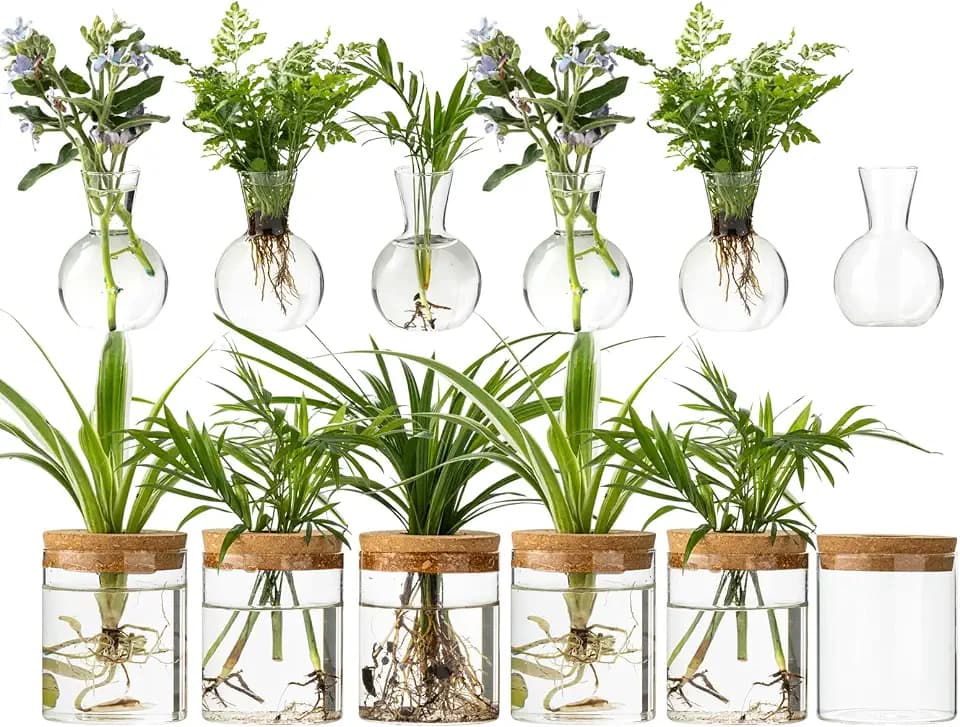 Plant Propagation Stations, 2 Style Glass Planter Terrariums, Propagation Vases for Plant, Plant Propagation Jars for Hydroponic Planter Home Office Tabletop Decoration (12)