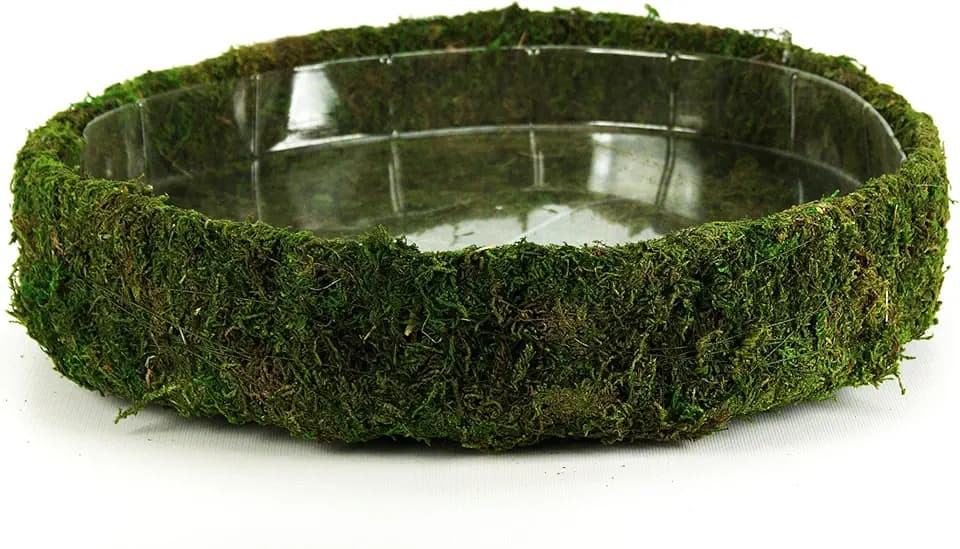 SuperMoss Propagation Grow Tray Plant Succulent Starter Moss Fairy Garden Basket, Round, 15 in