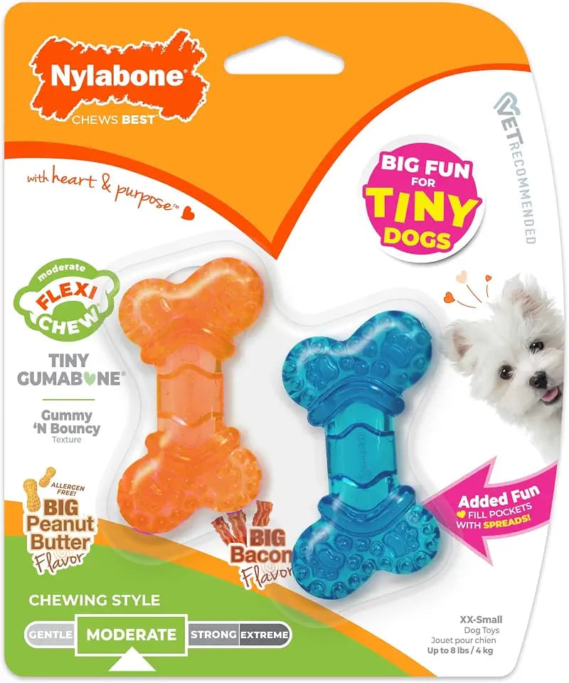 Nylabone Flexi Chew Tiny Gumabone Dog Chew Toys, XX-Small, 2 Count
