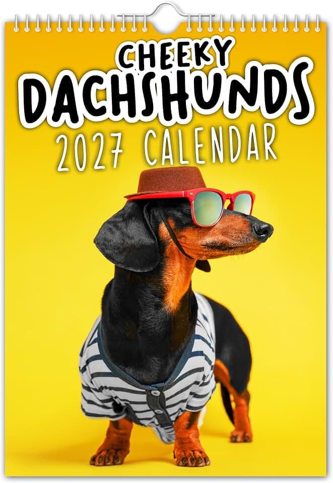 The Calendar King // Freche Dackel – Wandkalender 2025 (vollfarbig, A4-Größe)