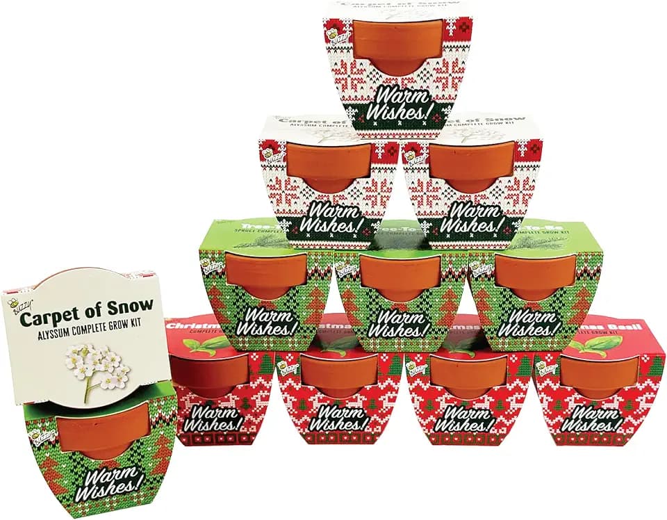 BUZZY Seeds Holiday Sweater Grow Kit 12-Pack, Terracotta Pots, Assorted