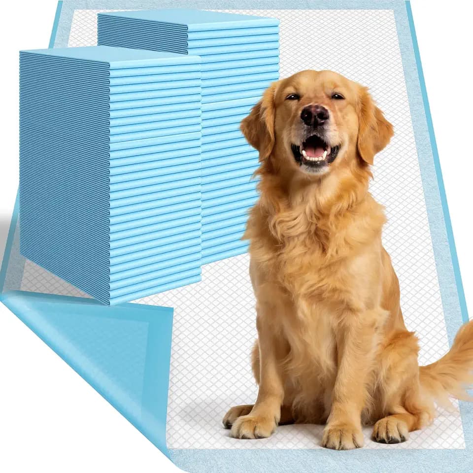 Large Puppy Pee Pads for Dogs 31" x 36" 60 Count, 6-Layer Leak-Proof XXL Dog Pee Pads Extra Large, Super Absorbent Quick-Dry Thick Disposable Potty Training Pads