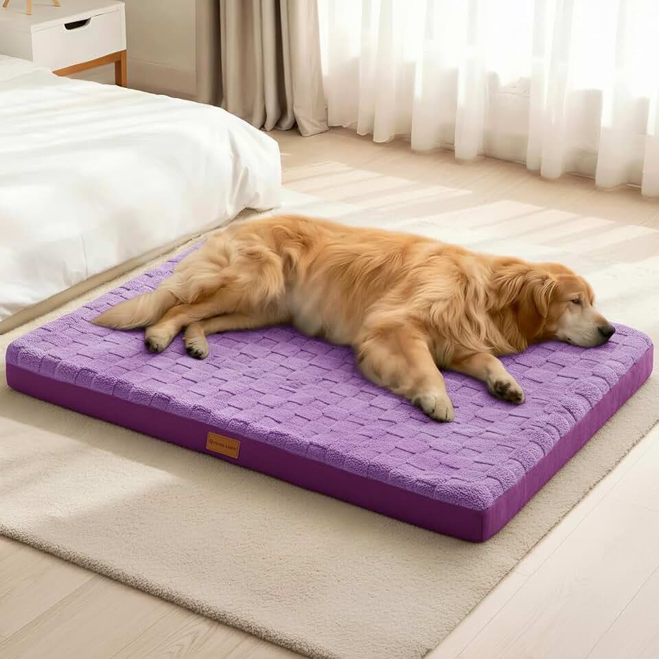 Patas Lague Orthopedic Large Dog Bed Pet Crate Mat 42''X28'' Purple