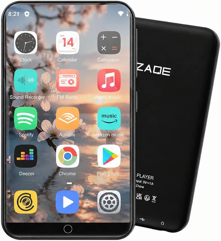 80GB MP3 Player with Bluetooth and WiFi, ZAQE Music Player with Spotify,Pandora,4" Touch Screen Android MP4 MP3 Player for Kids with Audible