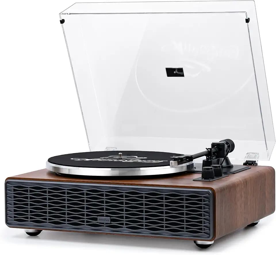 Annesburg Vinyl Record Player, Hi-Fi Bluetooth Turntable with Speakers