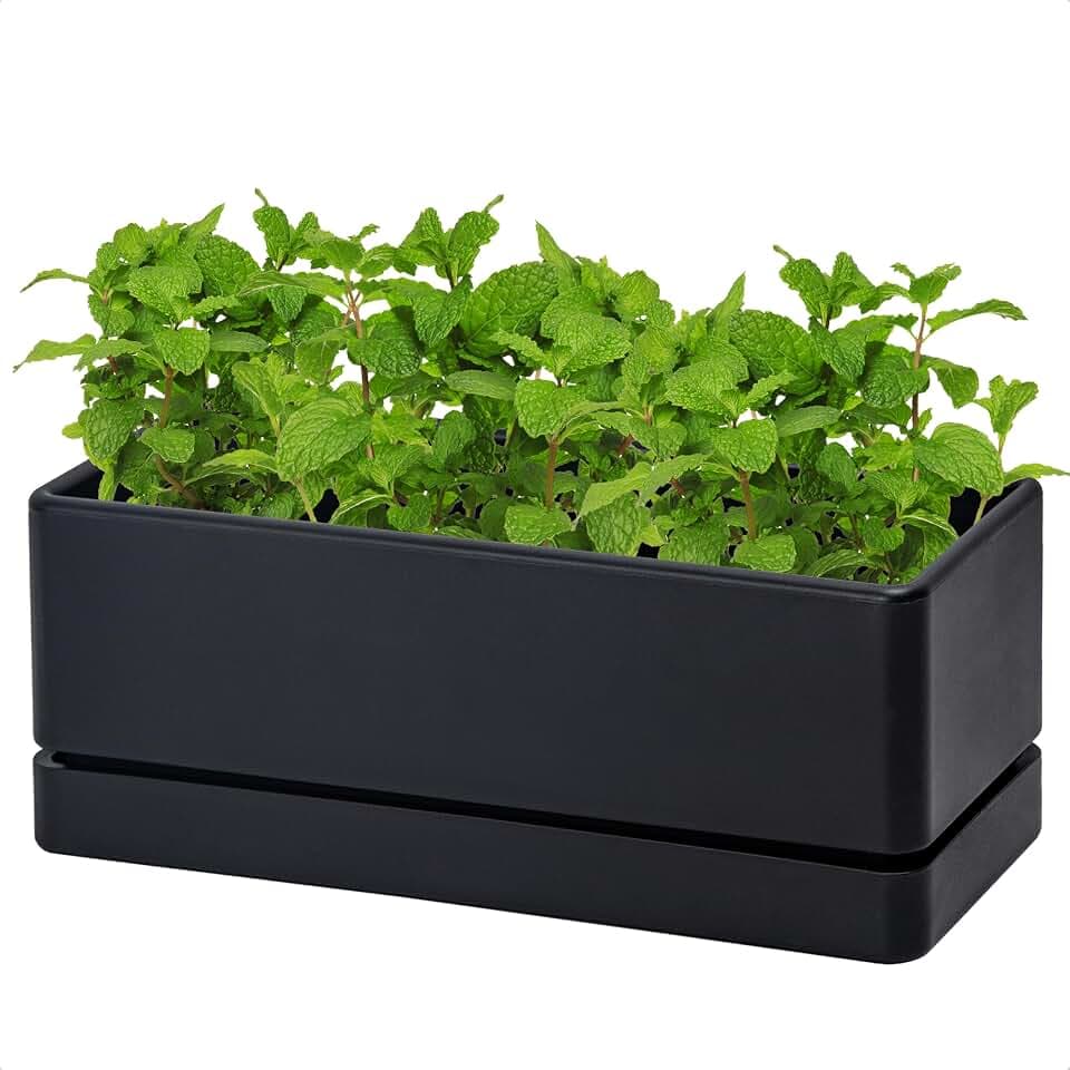 D'vine Dev Rectangular Planter, 12 x 4.5 in, Black, 76-X-B-1