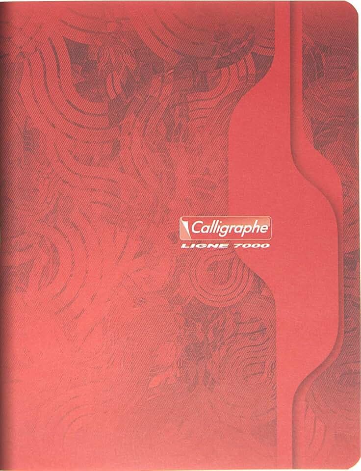 Calligraphe 7103C 10 Hefte 17x22cm 48 Blatt Seyes 70g farbig sortiert