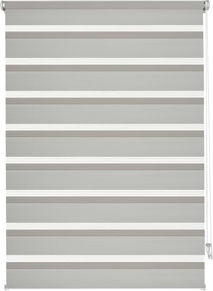 GARDINIA EASYFIX Doppelrollo mit Montageschiene , Duo-Rollo, Seitenzugrollo, Transparente und blickdichte Streifen, Stufenlos verstellbar, Grau, 100 x 150 cm