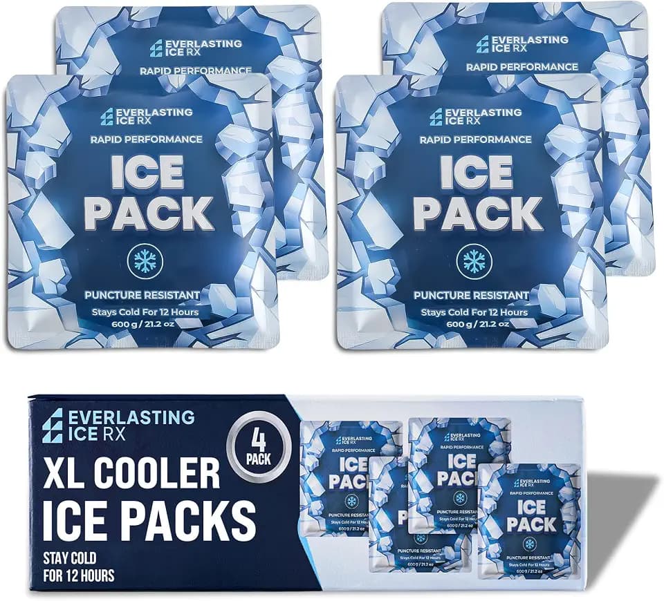 Reusable Ice Packs for Coolers and Lunch Box, Long Lasting 12 Hours, 4 Pack
