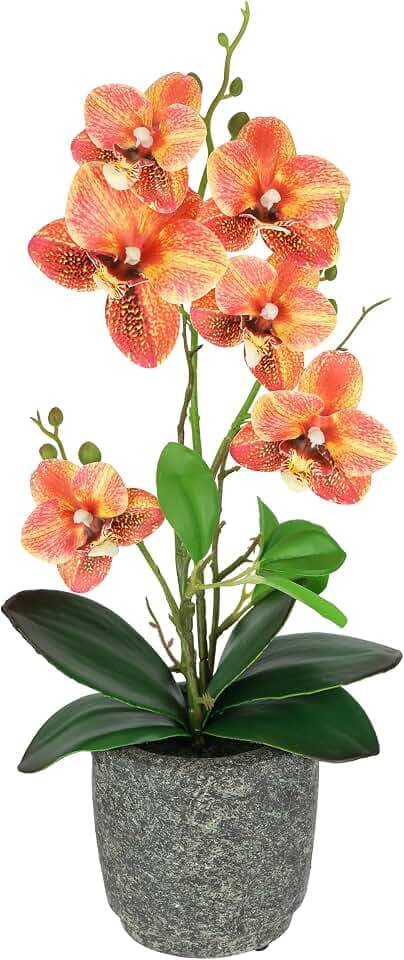 Kunstblume Schmetterling Orchidee 38cm mit Blätter und Luftwurzeln im Topf aus Keramik Künstliche Blume Kunstorchidee Phalaenopsis mit Übertopf Kunstpflanze Hochzeit Deko Seidenblume Real Touch Blüte