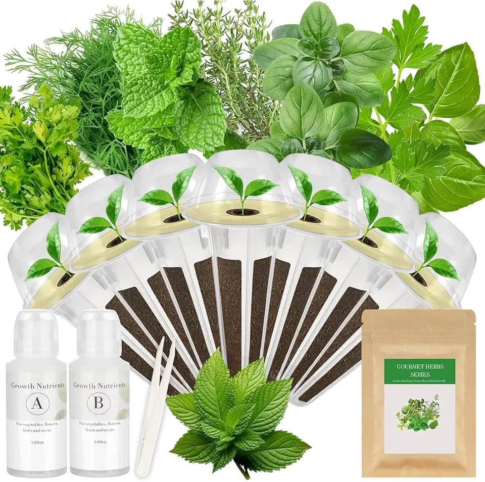 Gourmet Herb Seed Pod Kit for Hydroponic System-7 Pods, with 7 Herbs Seeds
