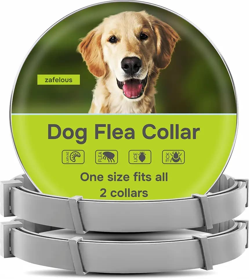 Dog Collar - 2 Count - Adjustable