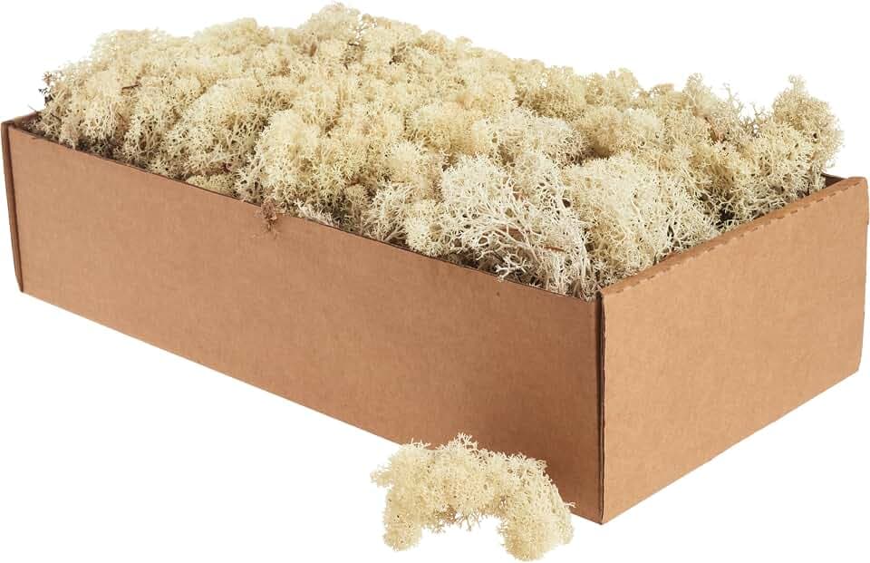 Islandmoos - Moos in 5 versch. Farben 250gr / 500 gr / 1Kg echtes konserviertes Natur Moos zum Moosbild basteln Deko und Modellbau (Naturweiß, 500 gr)