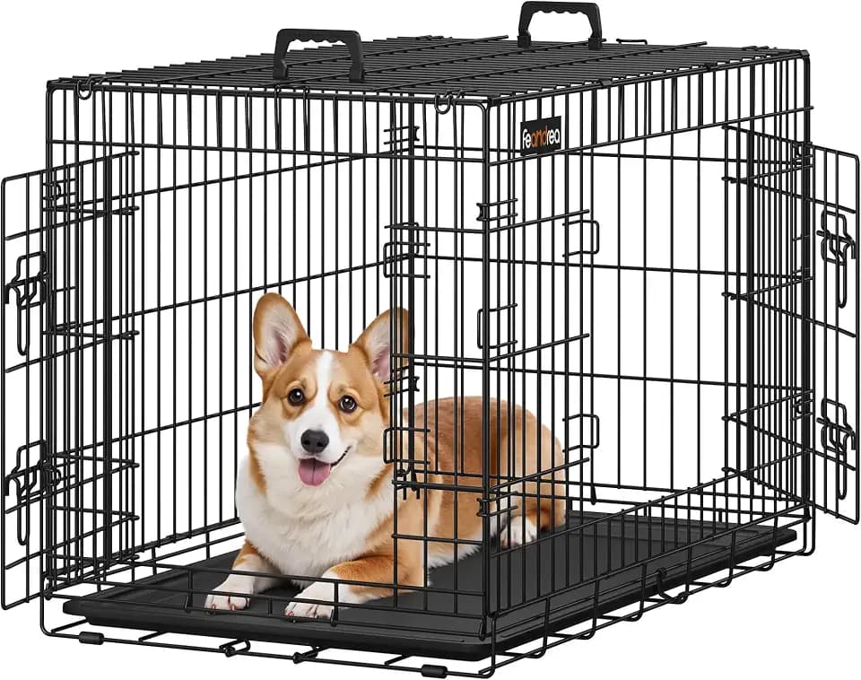 Feandrea Hundekäfig, klappbar, mit 2 Türen, ausziehbare Kunststoffschale, 92,5 x 57,5 x 64 cm, L, schwarz PPD36H