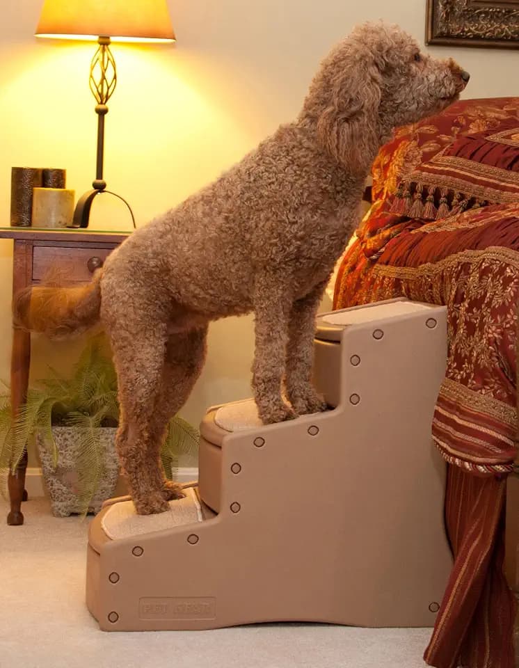 Pet Gear Easy Step III Extra Wide Pet Stairs, Camel