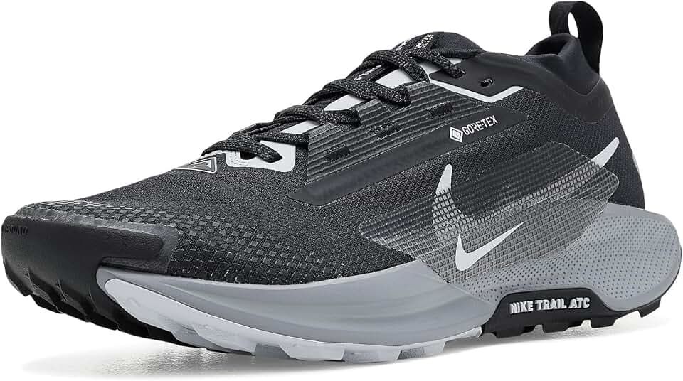 Nike Pegasus Trail 5 Gore-TEX Wasserdichter Traillaufschuh für Herren, FQ0908
