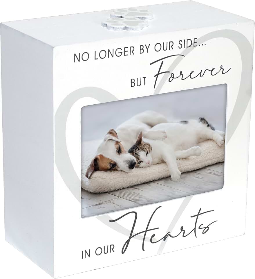 Malden Pet Memorial Urn with 3.5x5 Photo Frame, Ashes Storage, White