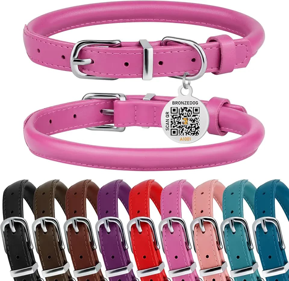 Rolled Leather Dog Collar, QR Tag, Anti-Tangle (S 12-14", Hot Pink)
