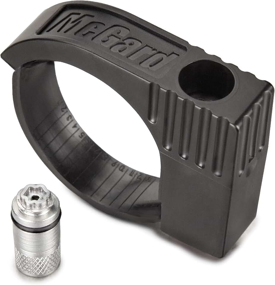 McGard 76029 Premium Pick-up Truck Tailgate Lock , Black
