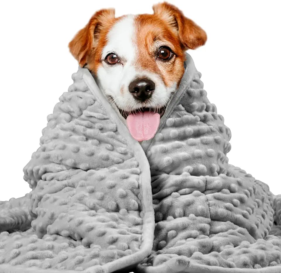 LaSyL Weighted Blanket for Pets | Thunder Blanket for Dogs Anxiety | Premium Soft Minky | Relaxation & Calming & Anti Anxiety | Used in Car, Bed, Couch | Dark Grey, Washable Medium (32"x40")