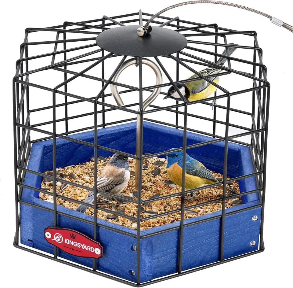Kingsyard Squirrel Proof Platform Bird Feeder, Metal Mesh Tray