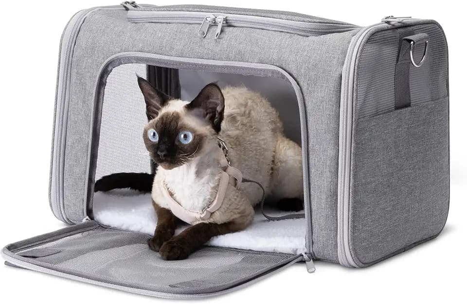 Amazon Basics Soft Cat & Dog Carrier with Adjustable Shoulder Strap, Airline-Approved, Foldable and Portable Design, Mesh Ventilation, Folds Flat for Storage