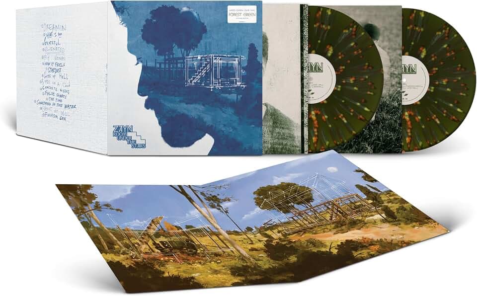 Room Under the Stairs (2lp) [Vinyl LP]