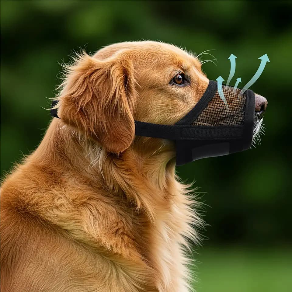 Evollax Extra Large Dog Muzzle - Air Mesh XL Dog Muzzle to Stop Biting, Barking and Chewing