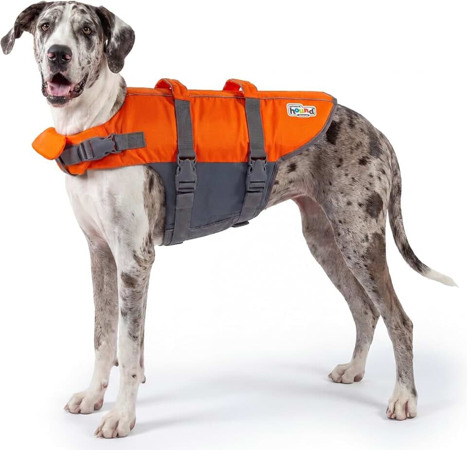 Outward Hound Granby Splash Dog Life Jacket, Life Vest, Orange, XL