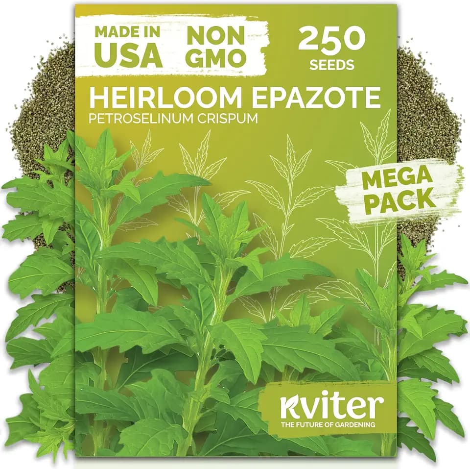 250 Epazote Heirloom Herb Seeds for Planting, Chenopodium Ambrosoides