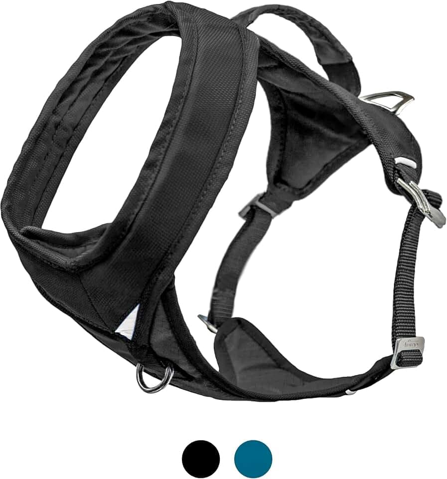 Kurgo Go-Tech Adventure Hundegeschirr mit Frontclip, einfaches An- und Ausziehen, Haustiergeschirr, reflektierendes Hundegeschirr zum Laufen, Wandern und Spazierengehen, Größe XL, Schwarz