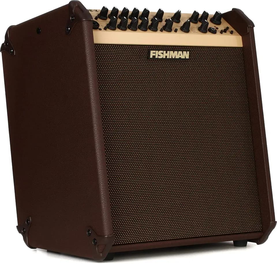 Fishman Acoustic Guitar Amplifier (PRO-LBT-700)